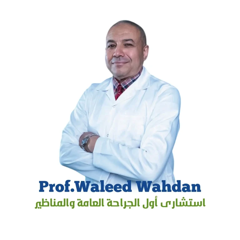 أ.د وليد وهدان